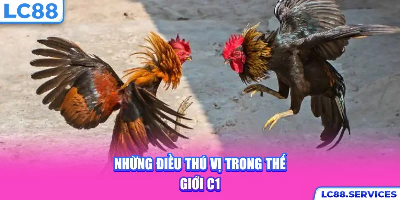 Những điều thú vị trong thế giới C1